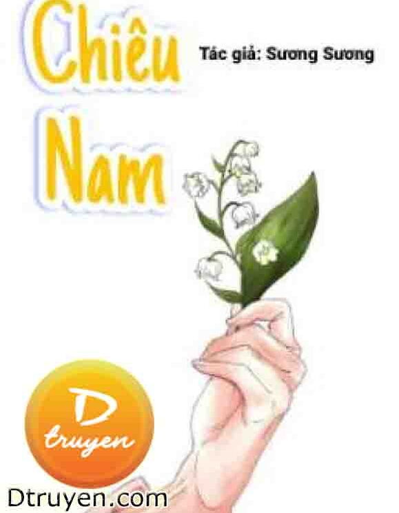 Chiêu Nam