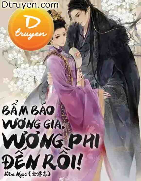 Bẩm Báo Vương Gia, Vương Phi Đến Rồi