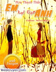 Em Lại Gặp Anh