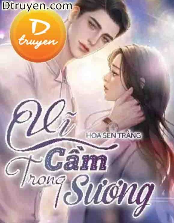 Vĩ Cầm Trong Sương