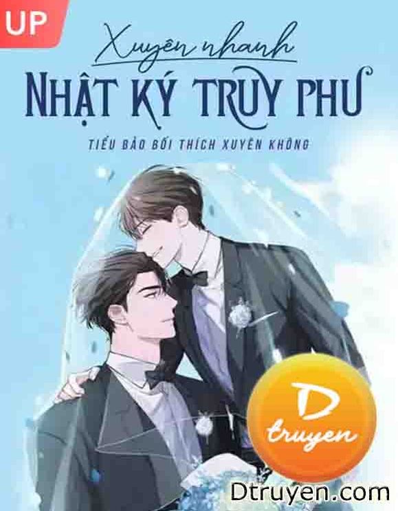 Xuyên Nhanh Nhật Ký Truy Phu