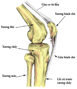 da-sac-tham-xu-sau-tham-trong-dem-12-4